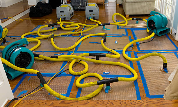 Professional Flood Damage Restoration technician working in Abita Springs, LA